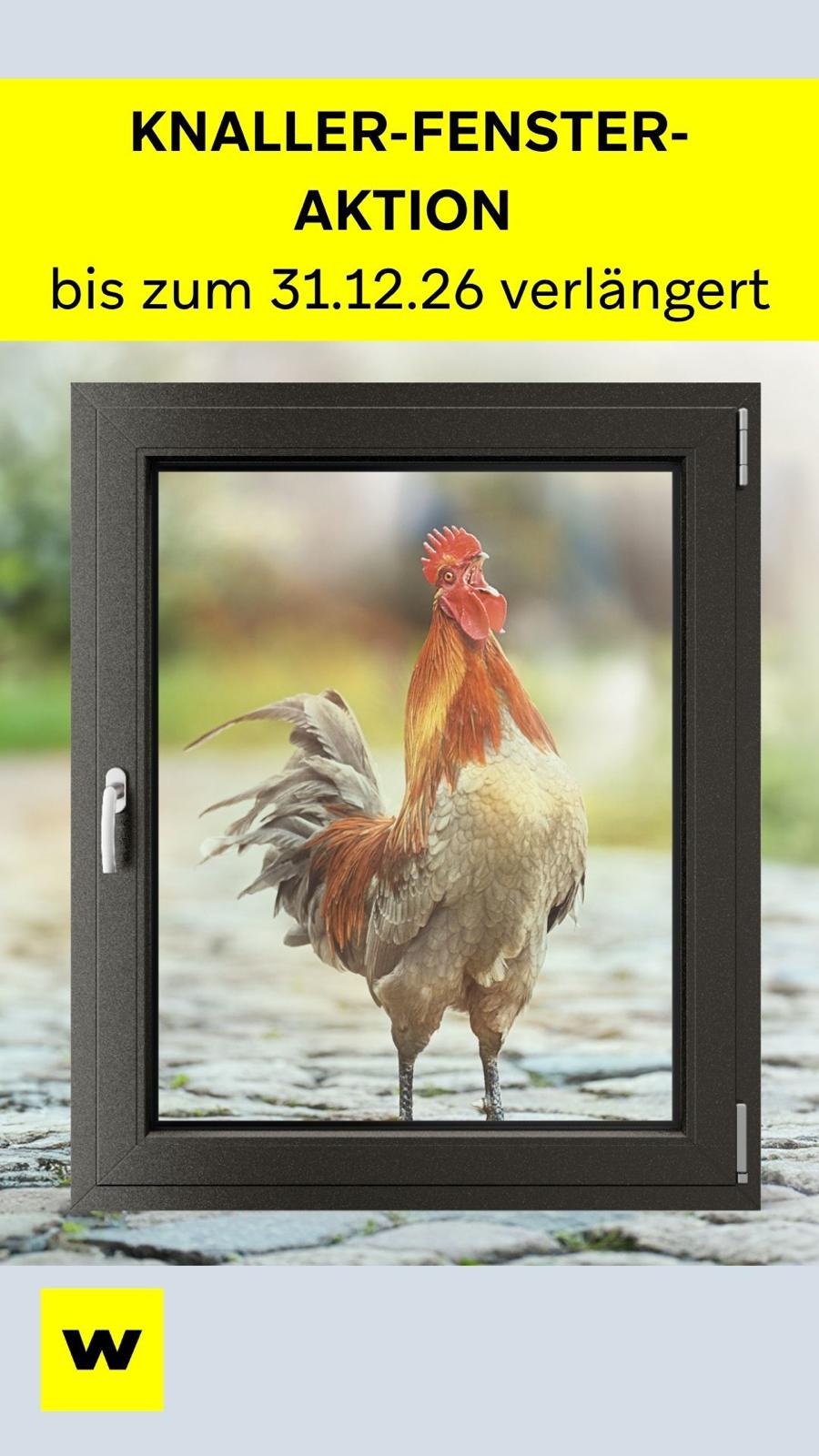 Weru Knaller Aktion Fenster